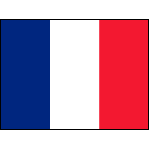 Parahockey French Crew