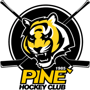HC Piné U13